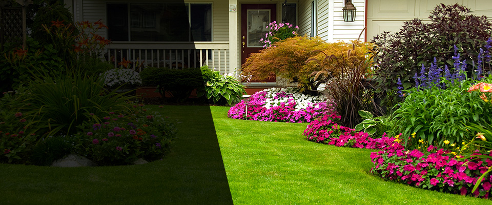 Cibolo Landscapers