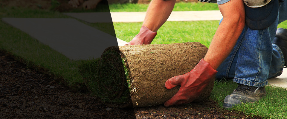 Cibolo Landscapers